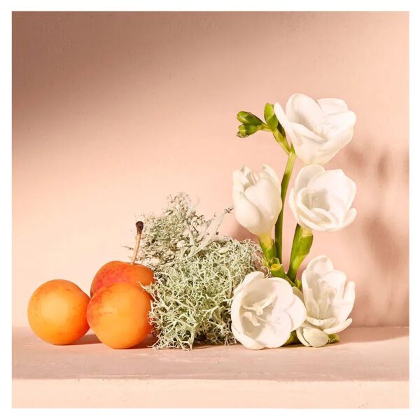 Nomade Chloé - Dames parfums - Eau de Parfum - Image 3